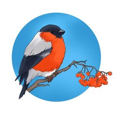 Детский сад №30 Снегирёк